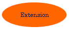 Extension