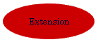 Extension