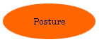 Posture