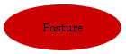 Posture