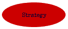 Strategy
