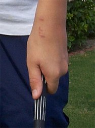 kidgrip_thumb_front.JPG (10637 bytes)